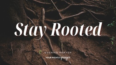 Entering a New Season Rooted in God | Your Nightly Prayer