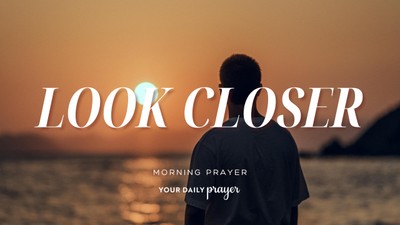 A Prayer for Noticing More | Your Daily Prayer