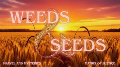 MARVEL & MYSTERIES- Weeds & Seeds