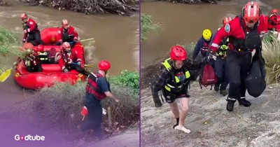 Firefighters Rescue Two Women and Four Dogs