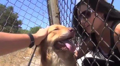 Terribly Frightened  Neglected Puppy's Life is Rescued By Two Heroes