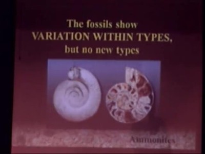 Fossil Record: A Problem for Evolution