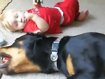An Adorable Baby and His Best Friend, a Rottweiler