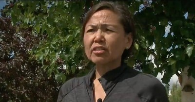 Missing Hiker In Alaska Facing Off With Bears Sends Frantic Text To Husband And Then Prays