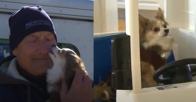 Dog Absolutely Loves the Postman and Their Unlikely Friendship Took the Internet by Storm