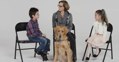 6 Children Meet A Real Life Guide Dog And They Are So Fascinated