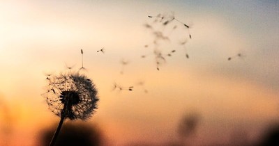 Some Powerful Words About A Powerful Disease. Read On To Be Inspired, Not Depressed. Find Light, Not Darkness.
