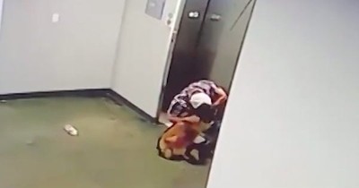 Dog Leash Caught In Elevator Prompts Daring Rescue From Quick-Thinking Hero