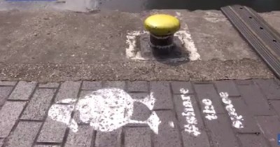 A Duck Lane Was Created To Share The Road With Ducks In The UK