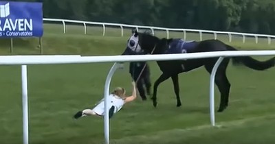 Reporter Is Nearly Trampled Stopping Loose Horse