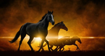 A Pastor Explains The 4 Horses Of The Apocalypse
