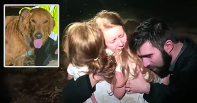 2 Girls Got Lost In The Woods But A Furry Angel Watched Over Them The Whole Time