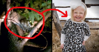 Family Says Angels Protected 4-Year-Old During Mountain Lion Attack