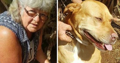 Pit Bull Charges At 69-Year-Old Woman But Then They See What She Has In Her Mouth