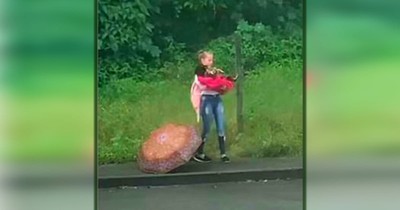 Stranger Peeks Out Window To See Young "Angel" Stop To Rescue A Stray Dog In The Rain