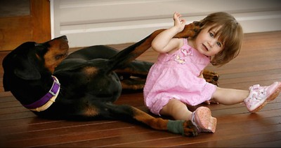 Rescued Doberman Tosses Toddler Aside To Protect Her From A Deadly Menace