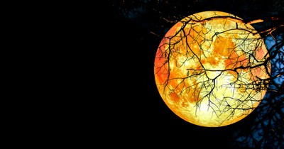 A Super Moon, Blood Moon And Lunar Eclipse All In One Night: Are You Ready?
