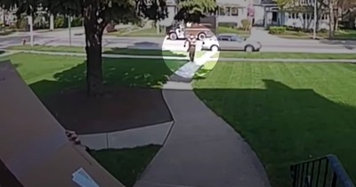 Heroic UPS Driver Spots Child In Danger And Races Across Busy Street To Save Him