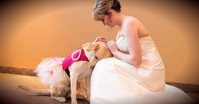 The Secret Behind This Wedding Photo Caused It To Go Viral