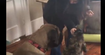 Older Brother Hilariously Helps His Brother Learn How To Sit