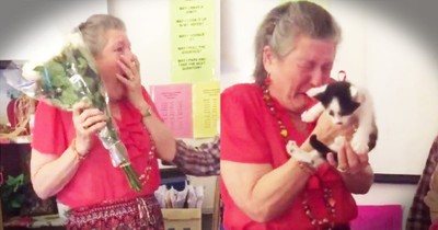 Students Surprise Beloved Teacher With Kittens
