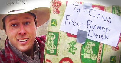Farmer Calls His Cows With His Trombone For A Christmas Surprise