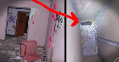Kitten Rescued By Photographer In Abandoned Hospital
