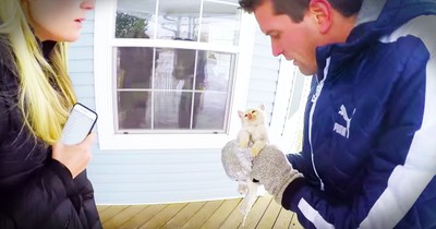 Family Rescues And Revives Frozen Kitten Found In The Snow