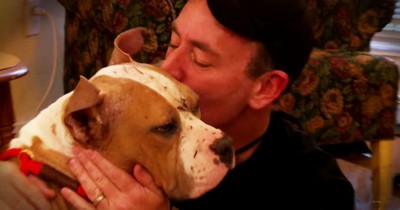 Police Officer Reunited With Blind Pit Bull