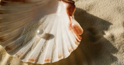 A Pearl Diver Rejected Jesus Because It Made No Sense. But God Knew The Perfect Way To Get To Him!