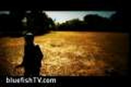 What Inspires You? - BluefishTV.com