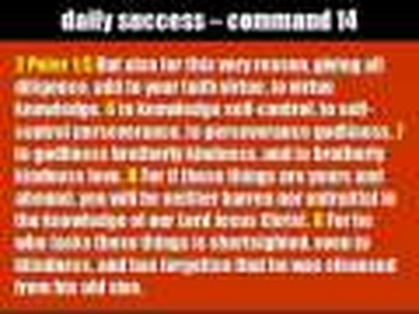 Seek God's Kingdom Part 5