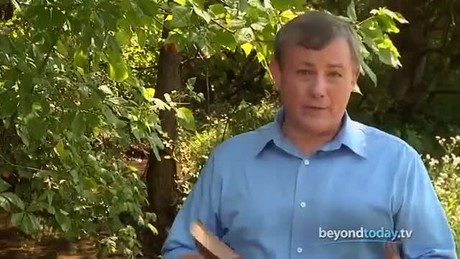 Beyond Today -- Where Are You God?