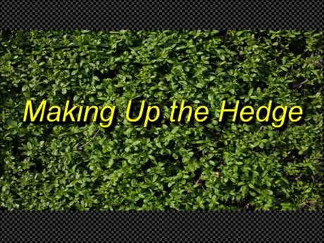 Randy Winemiller "Making Up the Hedge"