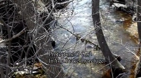 Psalm 16