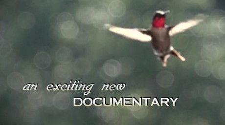 "Refracted Glory" Teaser One - Official