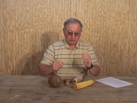 The Law of Seed, Plant, Harvest