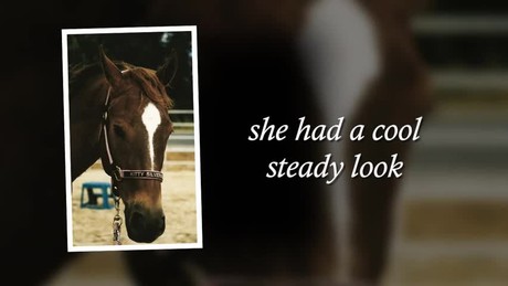Xulon Press book Spirit of the Warhorse; Kitty Silverwings, An Appaloosa Story | Patti Ansuini