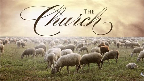 Acts 20:28-38