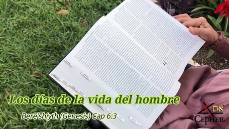 Los años de la vida del hombre