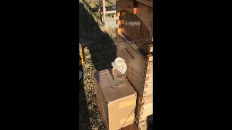 Honey from my hive.
