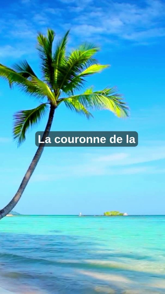 Une atmosphère de paix pour les nuits difficiles 🌧️#shorts