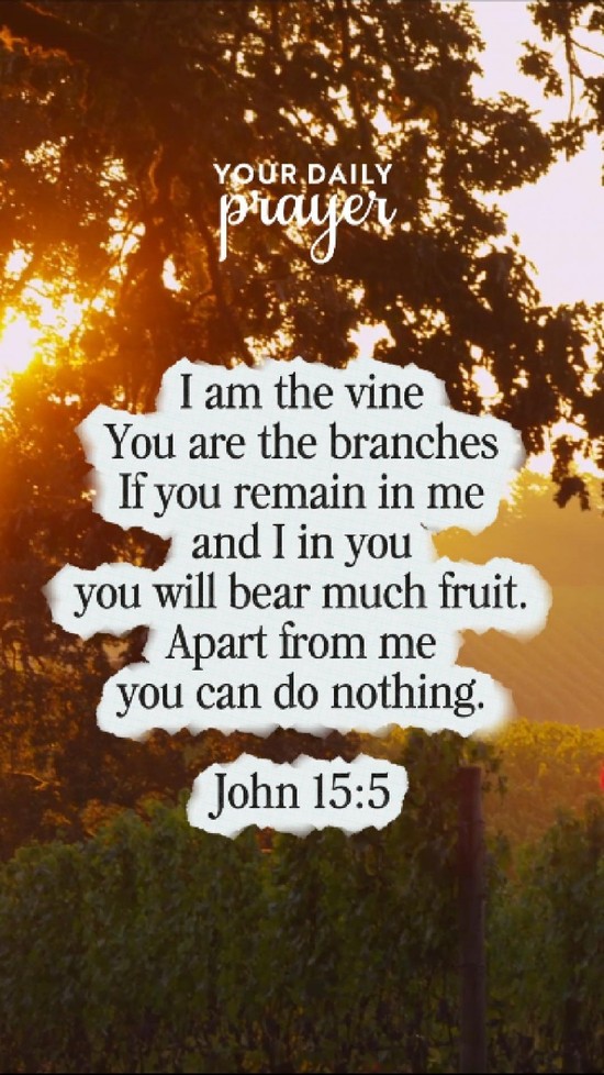 You don’t have to force spiritual growth. Stay connected to Jesus — He will produce the fruit. 🌿✨