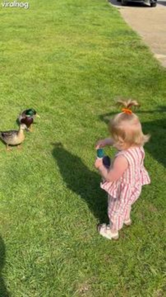 Toddler Realizes Her Favourite Toy Exists in Real Life