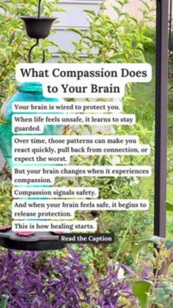 What Compassion Does To Your Brain