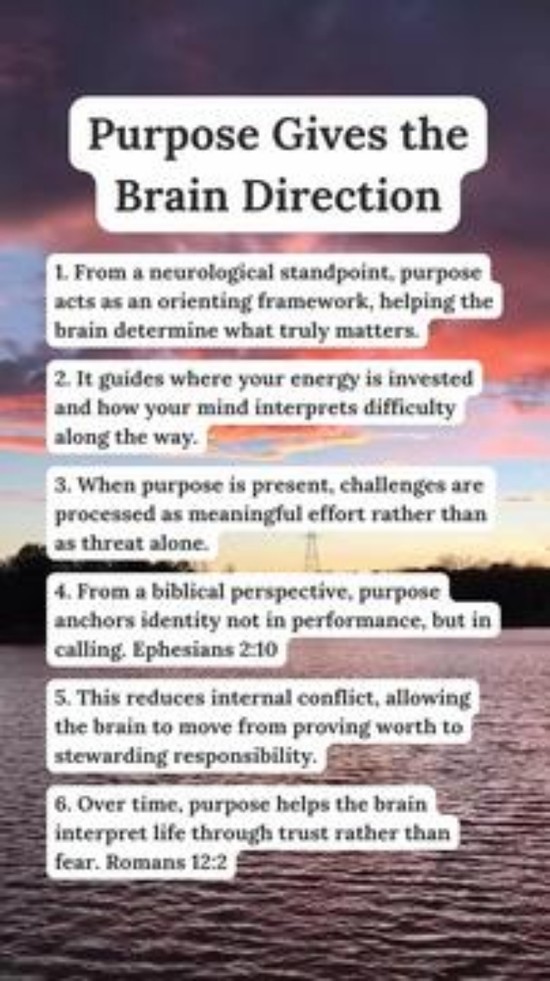 Purpose Gives the Brain Direction