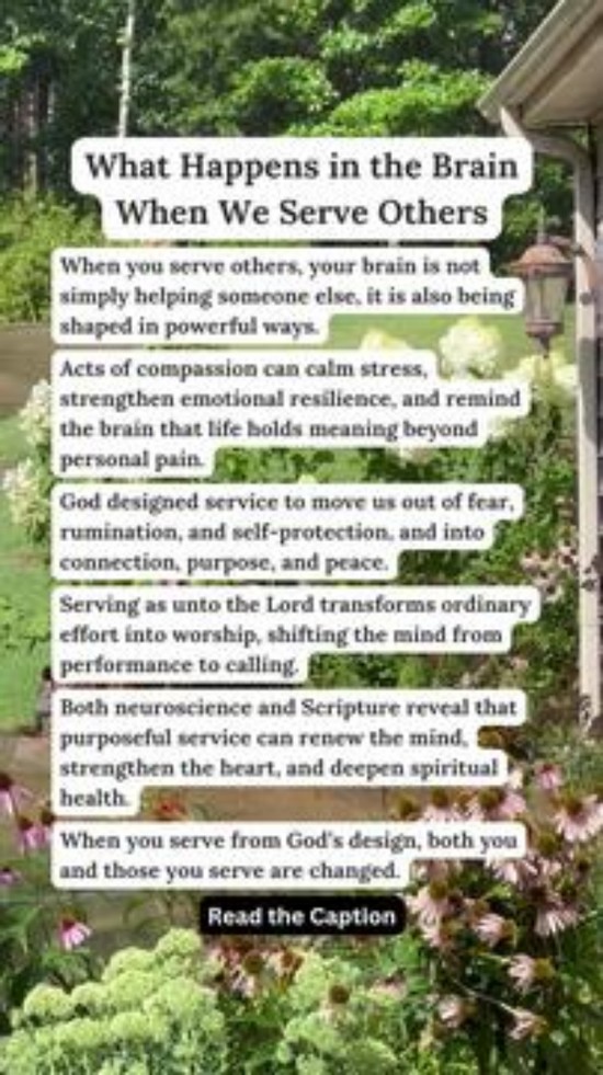 What Happens in the Brain When We Serve Others