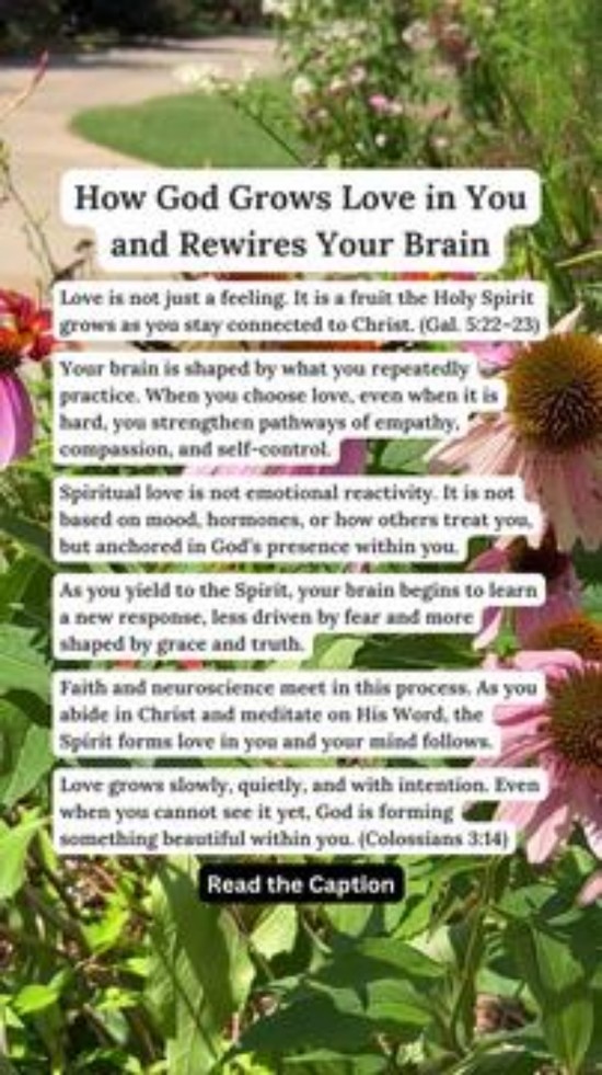 How God Grows Love in You and Rewires Your Brain