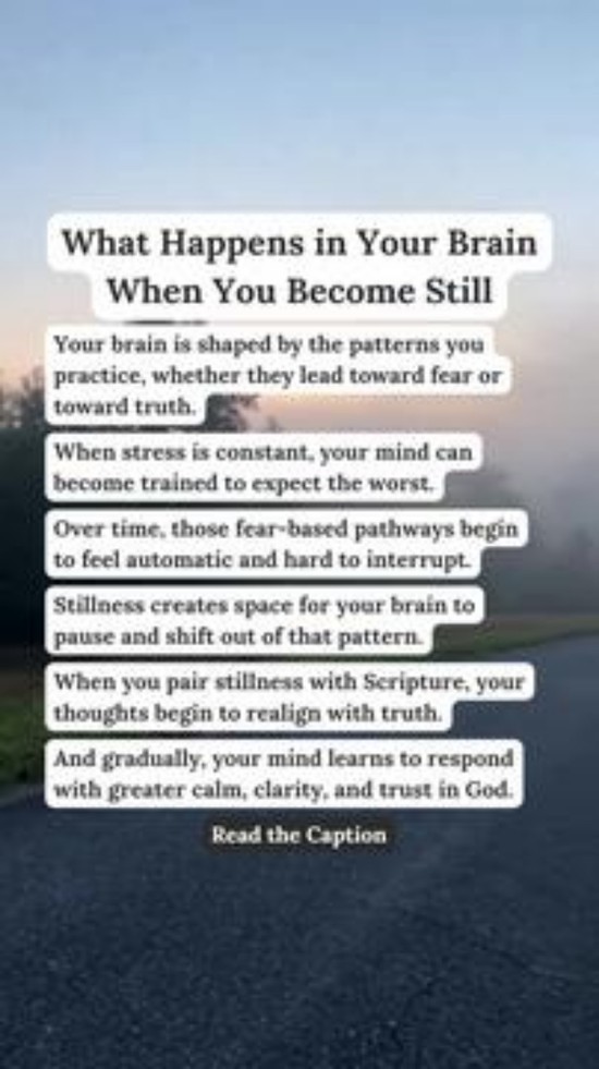 What Happens in Your Brain When You Become Still