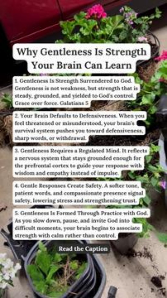 Why Gentleness is Strength Your Brain Can Learn